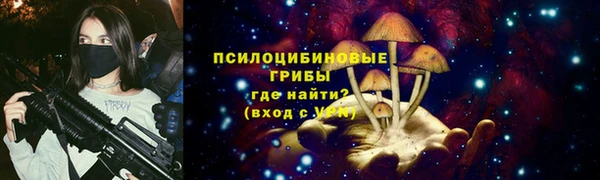 крисы Богородск