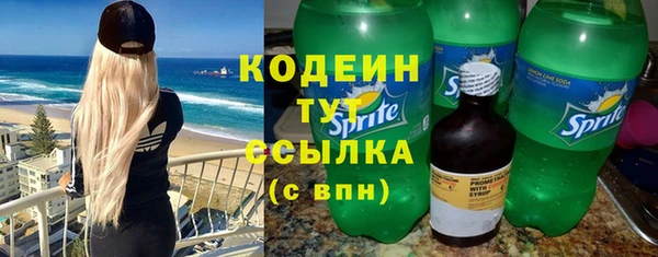крисы Богородск