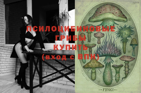 крисы Верея