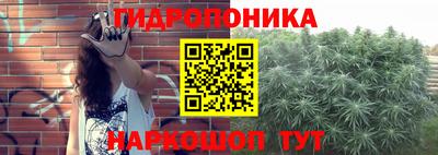 СК Боровичи
