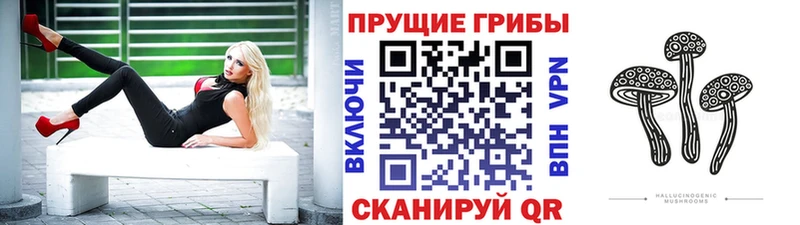 kraken ТОР  закладка  Маркс  Галлюциногенные грибы Psilocybe 