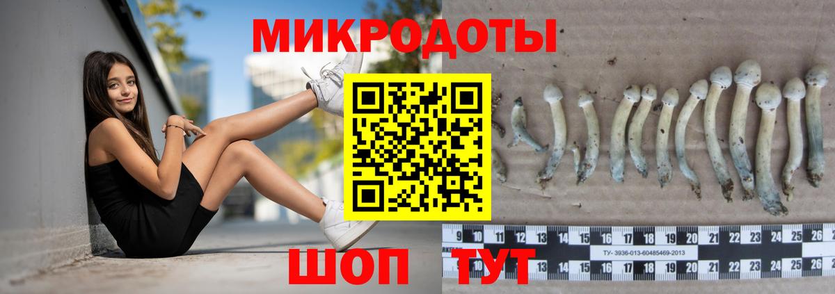 Псилоцибиновые грибы Psilocybe  Вход с VPN  Маркс 